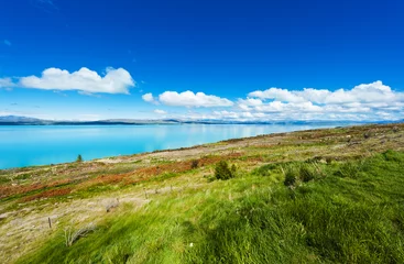 Foto op Plexiglas Lake Pukaki in the New Zealand © Fyle