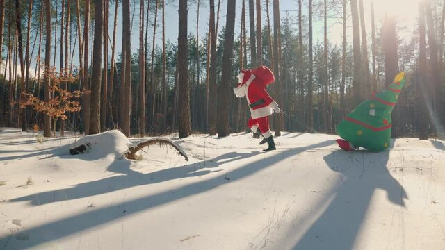 Santa Claus walking in a sunny frosty winter forest and pulling a sleigh with an inflatable Christmas tree doll