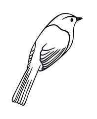 Hand drawn illustration bird. Creative ink art work. Actual vector drawing
