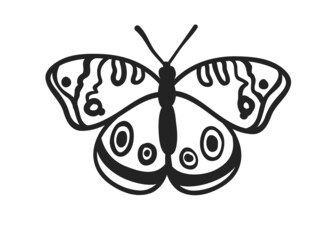 Hand drawn illustration. Creative ink art work. Actual vector drawing spring butterfly