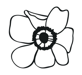 Hand drawn illustration flower. Creative ink art work. Actual vector drawing spring plant