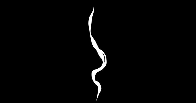 Looped vector animation of cigarette smoke  on black background