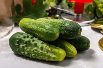 close-up of a heap of cucumbers. Cucumbers for salting.