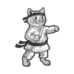 karate cat martial arts athlete sketch engraving vector illustration. T-shirt apparel print design. Scratch board imitation. Black and white hand drawn image.