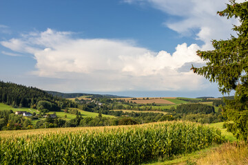 Fototapeta na wymiar Amazing rural summer countryside under blue sky