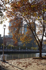 First days of autumn in the city of Bilbao, Spain