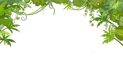Fototapeta premium Rainforest canopy. Jungle frame. Branches of tropical trees, grasses and bushes. Horizontal composition Curly shoots and stems of vines. Flat cartoon style. Green exotic landscape. Vector.