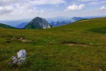 Fototapeta na wymiar white stone in the green grass at the top from a mountain with wonderful view to the landscape