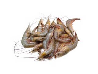 shrimp on a white background