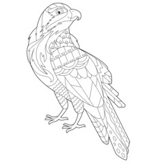 Contour linear illustration for coloring book with decorative falkon. Beautiful predatory  bird,  anti stress picture. Line art design for adult or kids  in zen-tangle style, tatoo and coloring page.