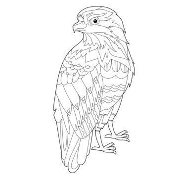 Contour linear illustration for coloring book with decorative falkon. Beautiful predatory  bird,  anti stress picture. Line art design for adult or kids  in zen-tangle style, tatoo and coloring page.