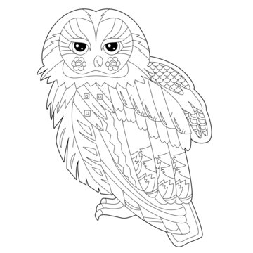 Contour linear illustration for coloring book with decorative owl. Beautiful predatory  bird,  anti stress picture. Line art design for adult or kids  in zen-tangle style, tatoo and coloring page.