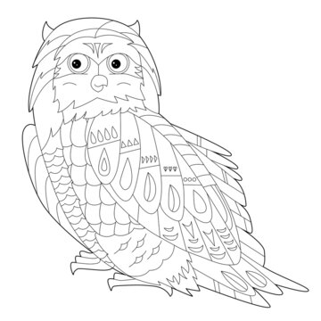 Contour linear illustration for coloring book with decorative owl. Beautiful predatory  bird,  anti stress picture. Line art design for adult or kids  in zen-tangle style, tatoo and coloring page.