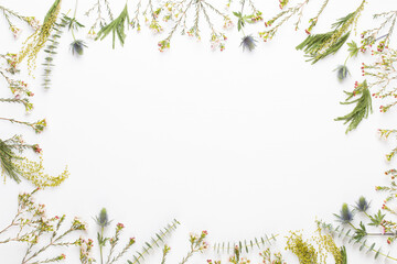 Spring greeting card, pastel color gerbera flowers on the white background.