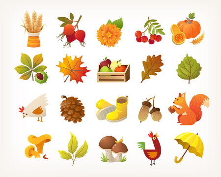 Collection of cute autumn seasonal images about harvest and nature. Plants flowers and animals icons. Set of isolated vector elements.