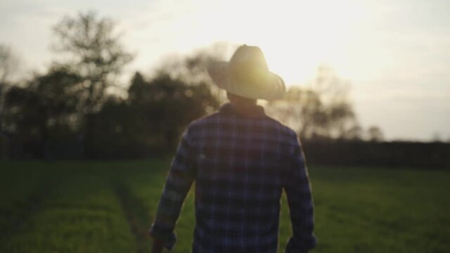 Mixed race male farmer walking through wheat fields 