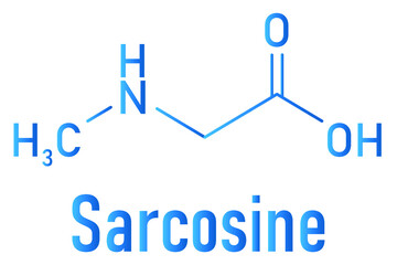 Sarcosine (N-methylglycine) molecule. Skeletal formula.