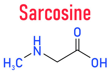 Sarcosine (N-methylglycine) molecule. Skeletal formula.