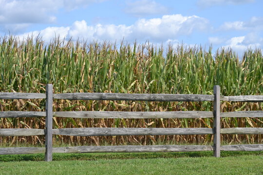 corn fence sky farm wooden fall clouds sky country fields