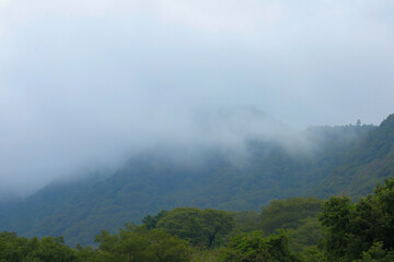 fog in the mountains