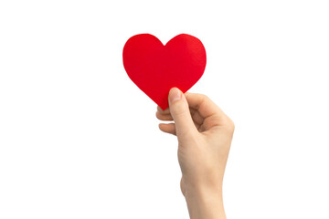 Obraz premium Family concept. Hand holding red heart isolated on a white background. Copy space photo