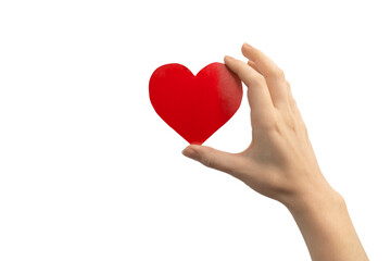 World heart day concept. Hand holding red heart isolated on a white background. Copy space photo