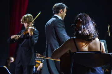 Fototapeta premium concert of classical music, violin