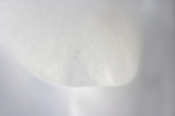 Orchid flower, close up abstract details