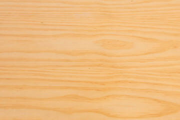wood plank with grains. Vector wood texture background