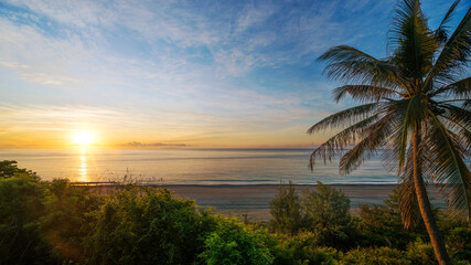 Tropical beach with palm tree at sunrise.