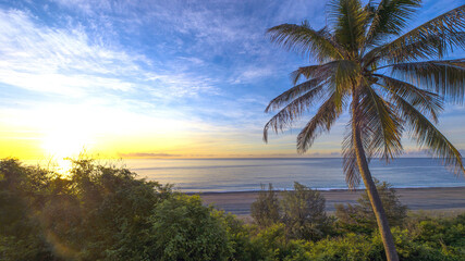 Tropical beach with palm tree at sunrise.