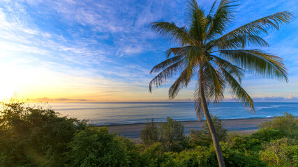 Tropical beach with palm tree at sunrise.