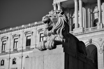 Obraz premium Lion Statue Lisbon