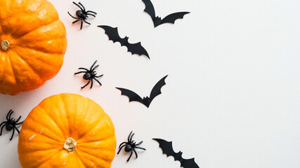 Happy Halloween holiday concept. Halloween decorations, pumpkins, spider, bats on white background....