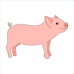Vector realistic cartoon domestic livestock cute farming mammal fat rural pig farm animal piglet on white pink black contour little swine