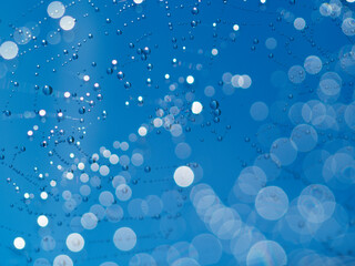 Dew drops on spider mesh, net - macro photography