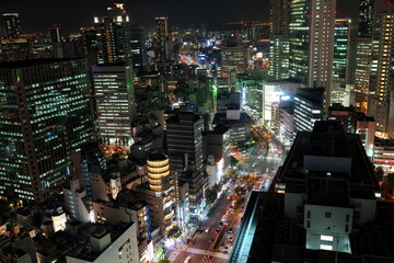 Fototapeta na wymiar 大阪駅周辺の夜景