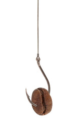 Fishing hook with coffee bean symbolizes addiction problem isolated on white background. Caffeine addiction catching concept. Prepared decoy for being hooked to coffee and become addict to drinking it
