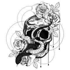Bouquet of roses, snake and skull. Botanical line art illustration. Sketch. Gothic vintage tattoo.