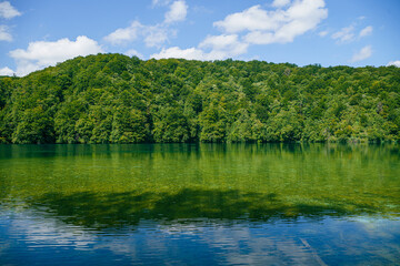 Plitviče Lakes National Park is a famous forest reserve in central Croatia. It's known for a chain of 16 terraced lakes, joined by waterfalls, that extend into a limestone canyon