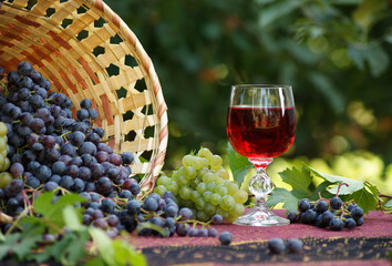 Composition with black and green grapes and a glass of red drink on the background of the blurred greenery of the garden