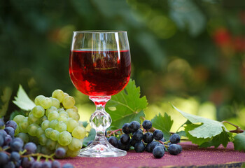 Composition with a glass of red drink and black and green grapes on a blurred green background in the garden