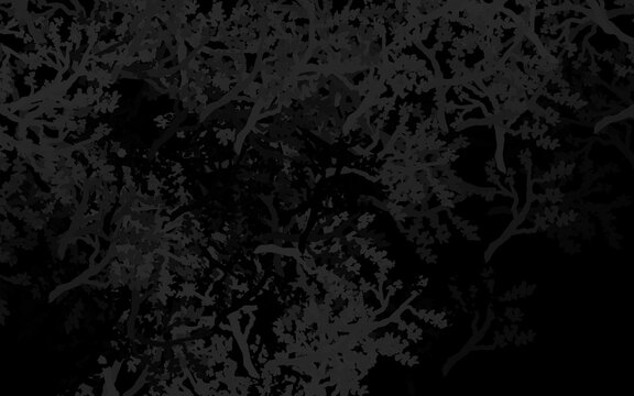 Dark Gray vector abstract backdrop with trees, branches.