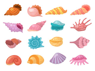 Seashells. Beach summer nature elements on sand starfish recent vector colorful seashells collection