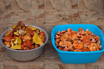 two basins with mushrooms