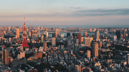 Ariel view of Tokyo cityscape in sunset