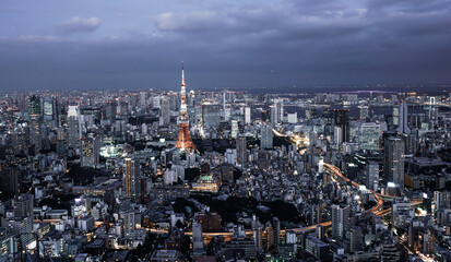 Ariel view of Tokyo cityscape in sunset