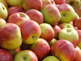 tasty fresh red and yellow apples close up