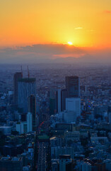 Fototapeta premium Ariel view of Tokyo cityscape in sunset