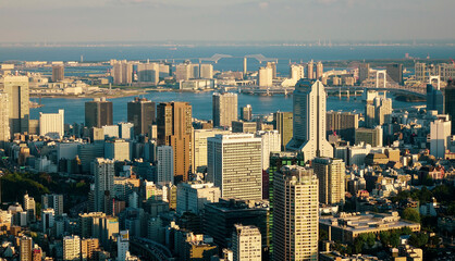 Fototapeta premium Ariel view of Tokyo cityscape in sunset